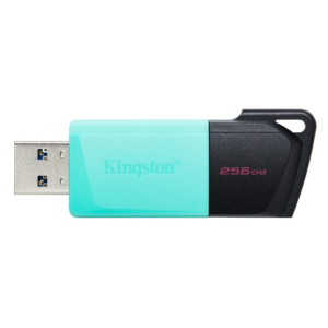 Kingston DataTraveler Exodia M USB flash drive 256GB