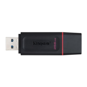 Kingston DataTraveler Exodia USB Flash Drive 256GB